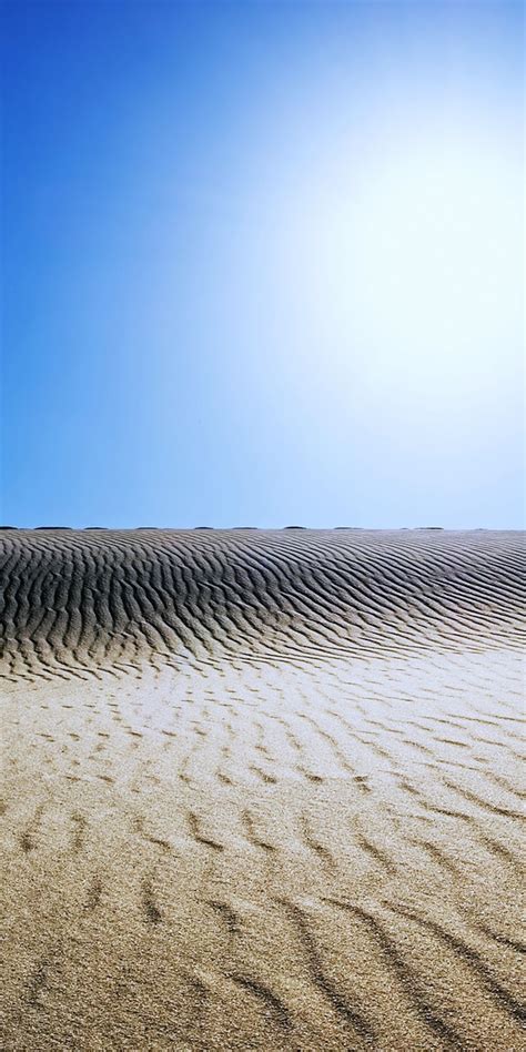 Sahara Sunny Day Desert Landscape 1080x2160 Wallpaper