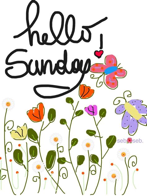 Hello Sunday ! ️ | Sunday quotes, Hello sunday, Sunday quotes funny