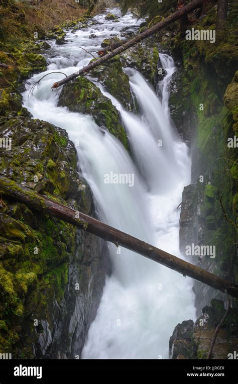 Sol Duc Falls Trail In Olympic National Park Stock Photo Alamy