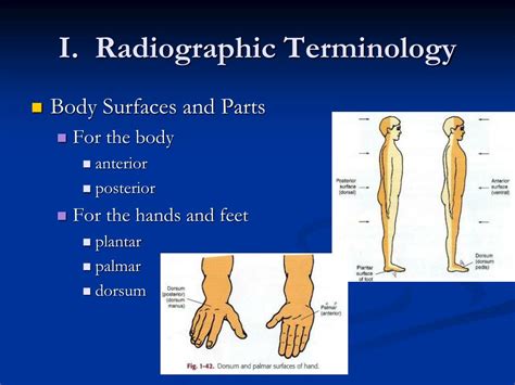 Ppt Introduction Of Radiographic Technology Powerpoint Presentation