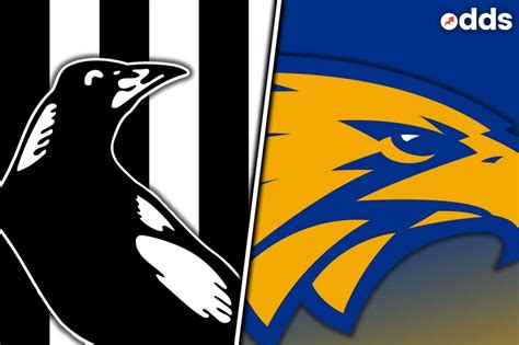 We did not find results for: Collingwood vs West Coast: AFL Grand Final Preview, Multi and Tips | Odds
