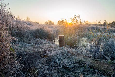 May 26, 2021 · for people who choose to sow grass seed late in the fall you have to check soil temps to make sure they are above 45 degrees and you will need to prepare the soil well to ensure the quickest germination speed and consistency possible for the seed you lay down. Free Images : sunrise, frosty, morning, autumn, sunlight, puddle, frost, late, fall, dry ...