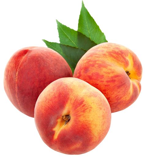 Free Peach Clip Art Download Free Peach Clip Art Png