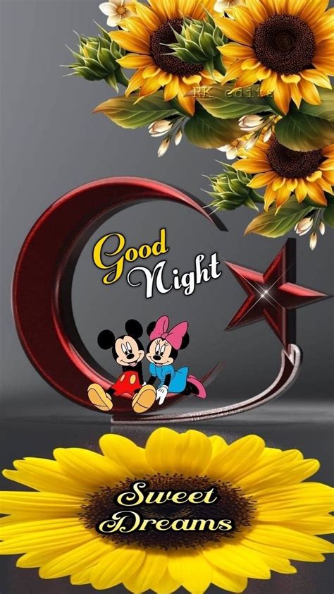 Pin By Raj Kiran On Good Night Good Night Image Good Night Greetings