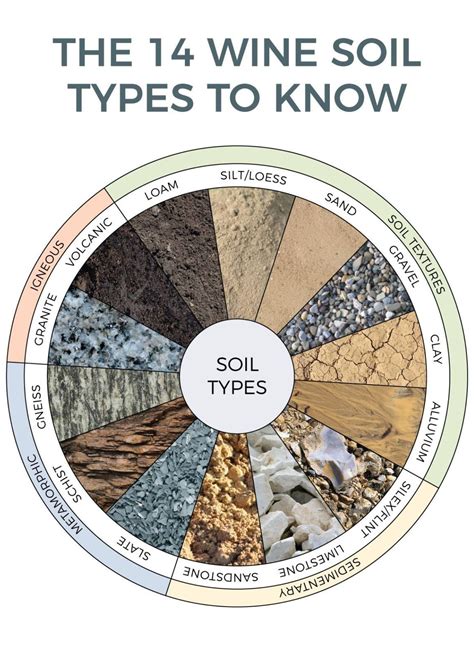 What Is Soil How Many Layers Of Soils Discovery Of Science