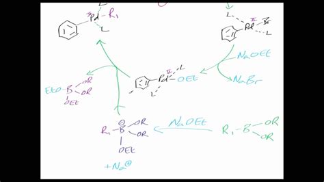 The Suzuki Reaction Reaction Mechanism Chemistry Tutorial