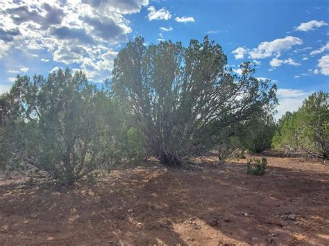 5 Acres In Navajo County Arizona