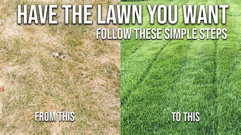 Spring Lawn Care Steps How To Have The Best Looking Lawn In The