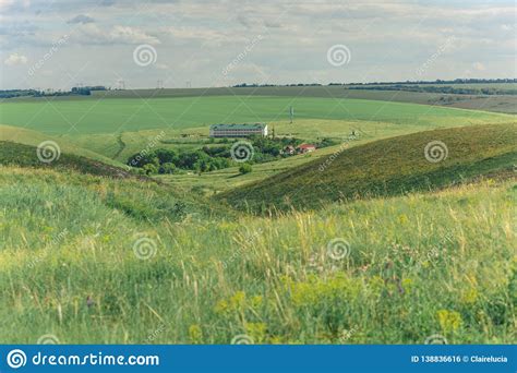 Summer Landscape With Hills And Ravines Overgrown With Grass And Blue