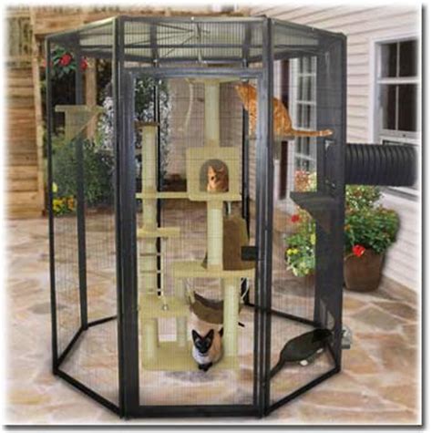 If you have an indoor cat they will love the. Outdoor Cat Enclosures: How To Go From Patio To Catio