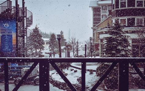 Fotos Gratis Agua Cielo Hierro árbol Nieve área Urbana