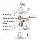 Hip Flexor Muscle Exercises