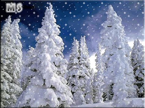 Snowing Winter Images Animated Christmas Winter Scenes