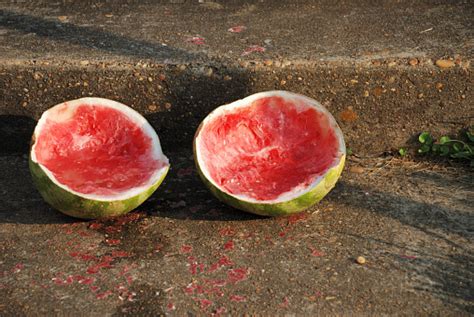 Split Watermelon Stock Photo Download Image Now Ant Concepts Food