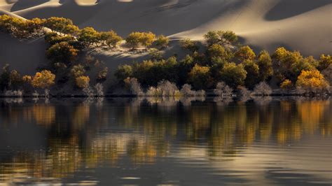 Fonds Décran Xinjiang Lac Arbres Désert Dune Chine 3840x2160 Uhd