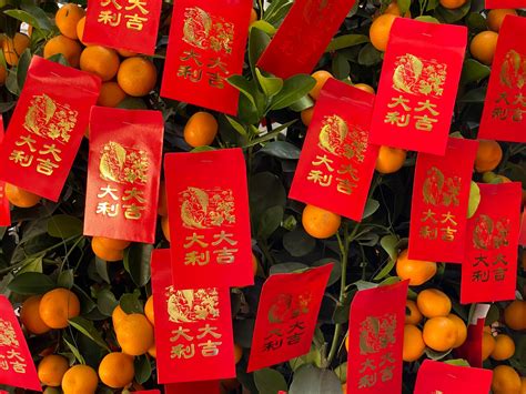 How To Celebrate Chinese New Year 2025 - Sher Ysabel