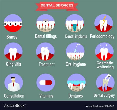 Types Of Dental Clinic Services Royalty Free Vector Image