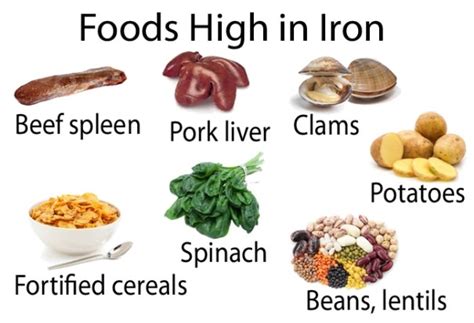 Foods High In Iron List Of High Iron Foods