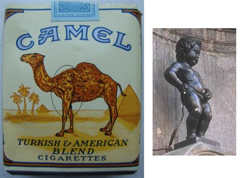 Most current camel cigarettes contain a blend of turkish and virginia tobacco. Legendes Urbaines: Les paquets de cigarettes Camel