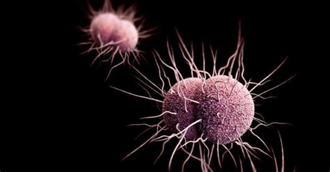 Drug Resistant Gonorrhea A Growing Threat In The Us Cbs News