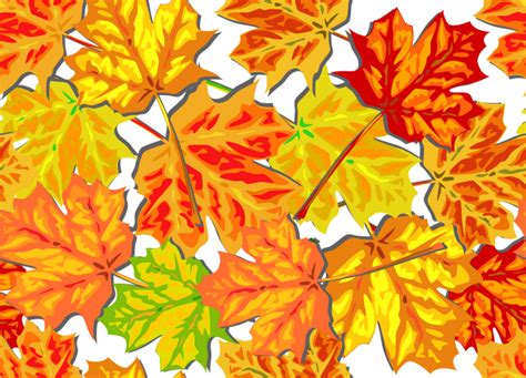 How About Fall Leaves Clip Art
