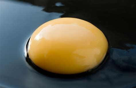 Premium Photo Fresh Egg Yolk
