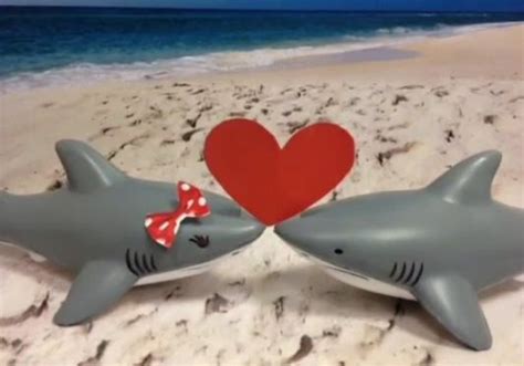 Long Lasting Love Name A Shark For Valentines Day