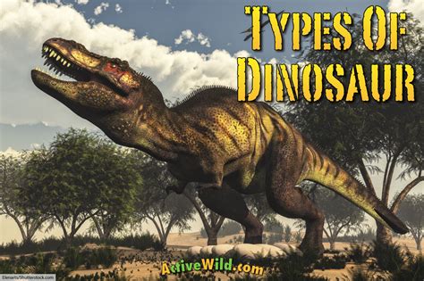 Welcome to the active wild list of dinosaurs. Discover The Different Types Of Dinosaurs With Pictures ...