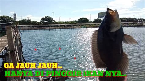 Mancing Di Sini Ga Jauh Jauh Hanya Di Pinggir Ikan Nya Youtube