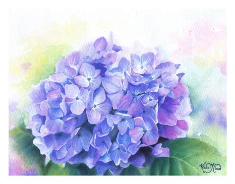 Hydrangea Flowers Watercolor Painting Fine Art Print Etsy