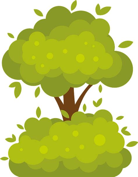 Tree In The Bush Clipart Free Download Transparent Png Creazilla