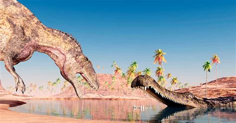 Dinosaur Eating Galloping Crocodiles Once Existed In The Sahara Desert
