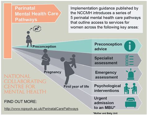 Perinatal Mental Health Care Pathways — Help For Mums