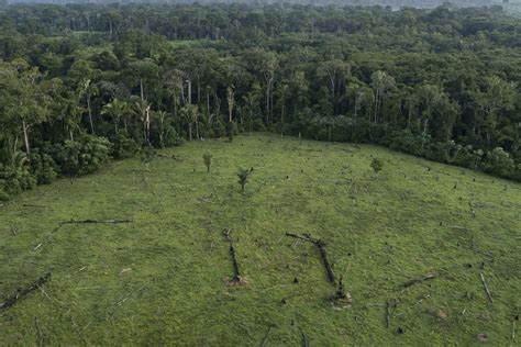 How Satellite Sleuths Are Helping To Save The Amazon Rainforest From Destruction Wired Uk