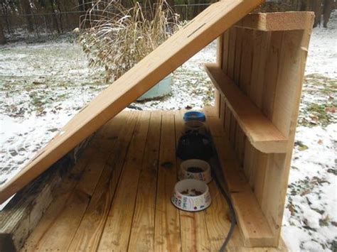 How to make a diy elevated cat feeding station. Winter Feeding station. Made from upcycled pallets that my ...