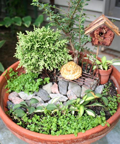 minature dish garden dish garden mini garden miniature garden jardinería de hortalizas en