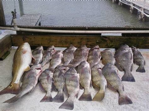 Maybe you would like to learn more about one of these? Floating Fishing Cabin in Landcut or Baffin Bay (Corpus ...
