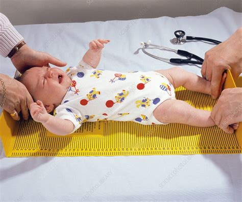 Measuring Length Of 6 Week Old Baby Girl Stock Image M8250449