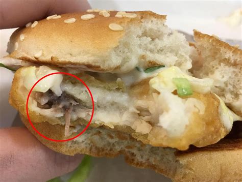 Teen Reckons She Found Dead Mouse In Her Mcdonalds Burger Swns