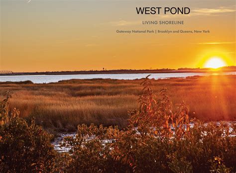 West Pond Living Shoreline - ASLA-NY Awards
