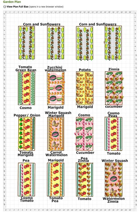 Garden Layout Examples