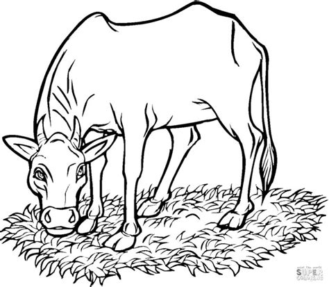 Get This Cow Coloring Pages To Print Cow Eating Grass