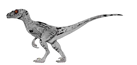 Velociraptor Sornaensis Female By Brooksleibee On Deviantart