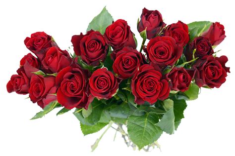 Bouquet Of Roses Png