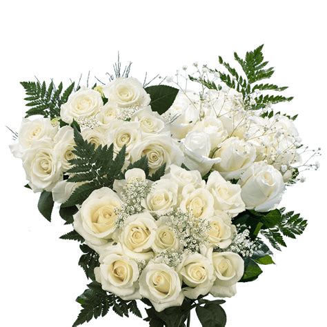 3 Dozen White Roses With Babys Breath And Green Fresh Flower Delivery