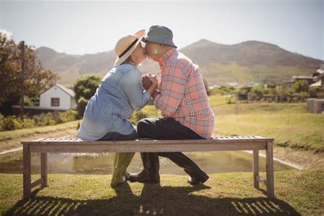 Senior Couple Kissing Each Other While Sitting On A Bench In Lawn Stock Image Image Of Female