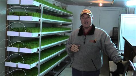 Awesome Alpacas Fodder Growing System Youtube