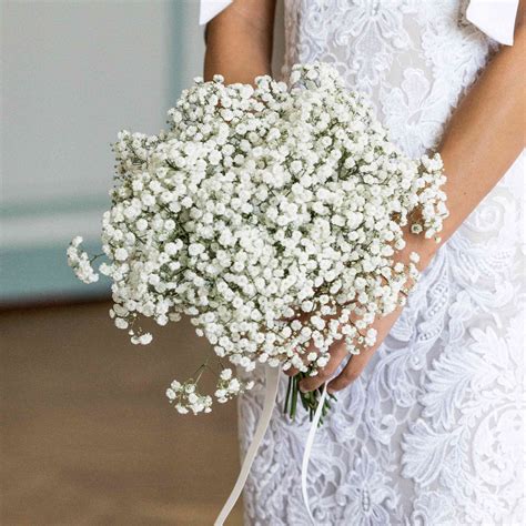 Wedding Bouquets Of Babys Breath And Roses Hand Drawn White Flowers