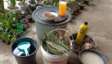 Cara-Membuat-Pupuk-Organik-Cair-dari-Daun-Bambu-2 | KampusTani.Com