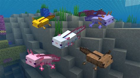 The Rarest Axolotl In Minecraft Telegraph